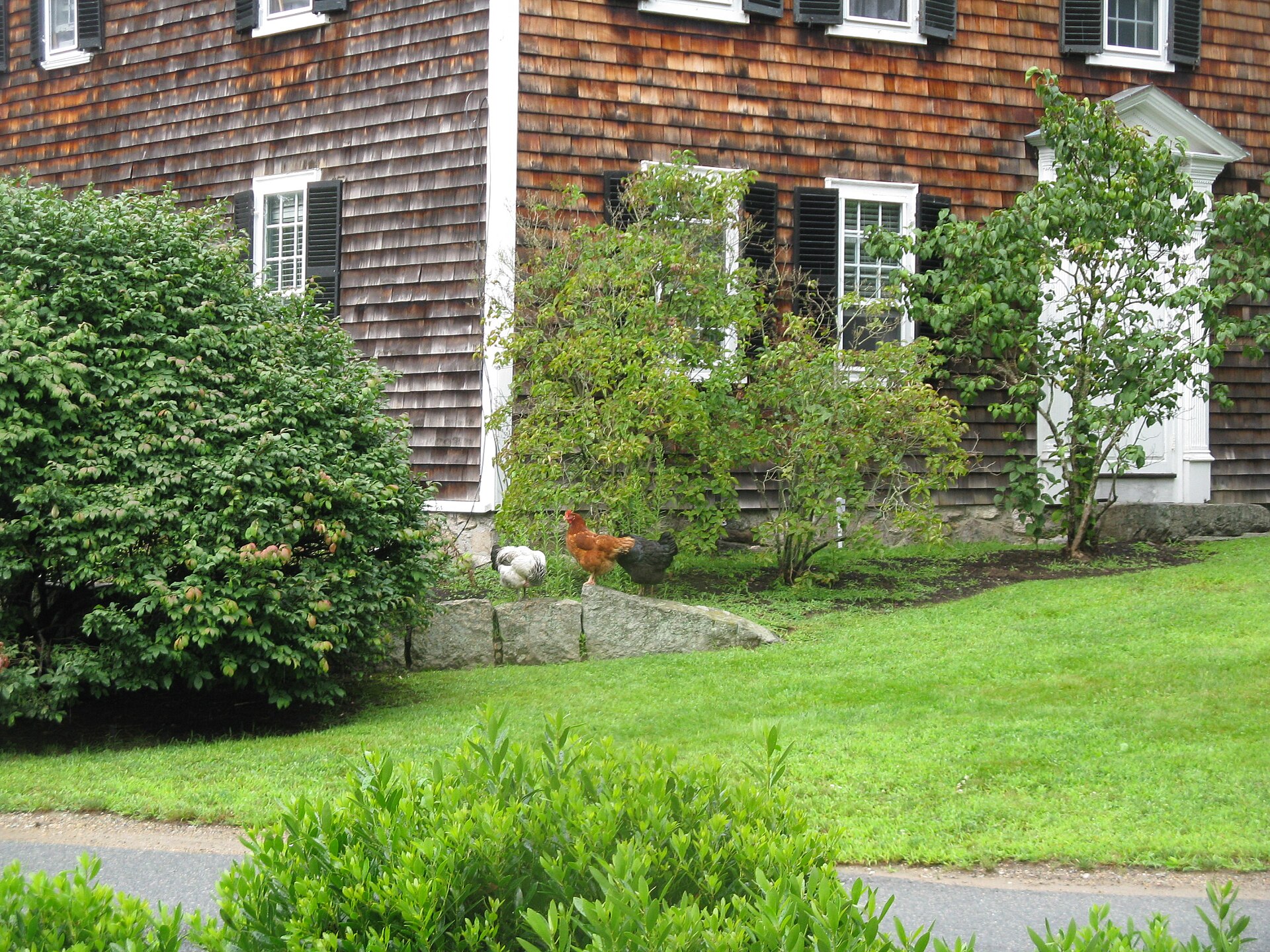 Norwell, MA Cleaning services in Norwell, MA by Get it Clean Services